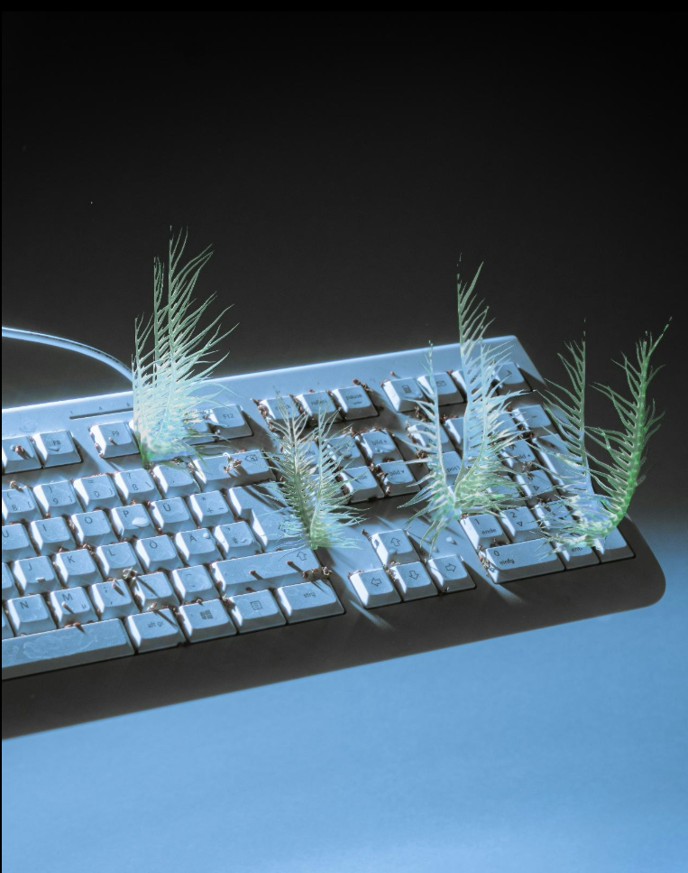 A computer keyboard with ferns growing through and around it, suggesting nature reclaiming technology.